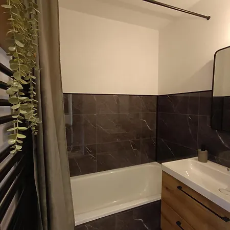 La Taniere De L'ours Διαμέρισμα Allemont